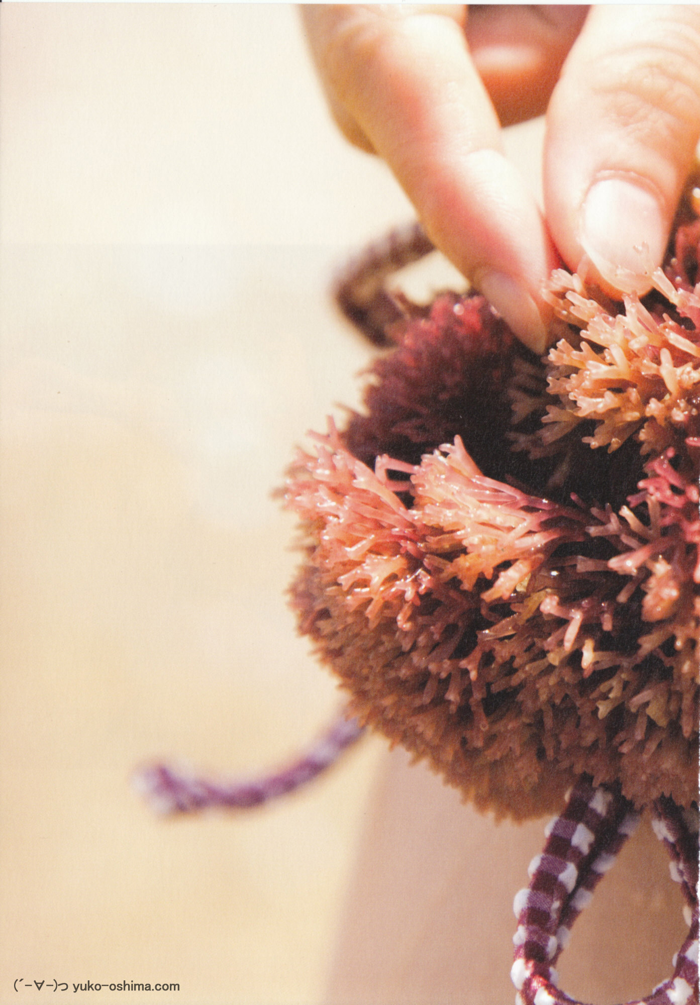 大島優子 1stフォトブック 優子 [PB写真集] Yuko Oshima